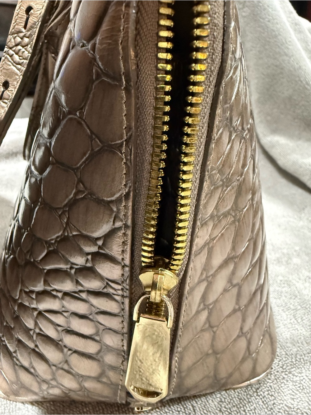 BRAHMIM | Metallic Taupe Croc-Embossed Satchel - Picture 6 of 7